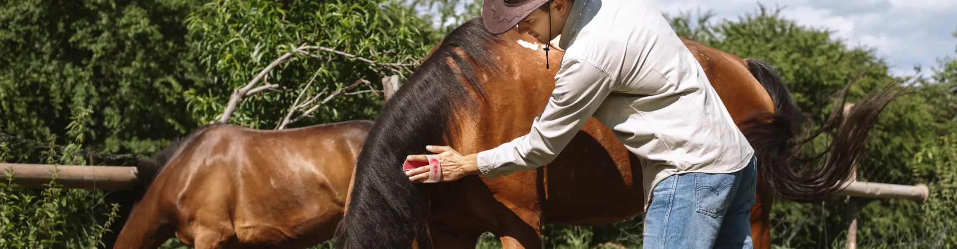 Mann mit zwei Pferden