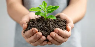 Das Bild zeigt Hände, die Erde mit einer jungen Pflanze halten – es steht für Nachhaltigkeit, Umweltschutz oder Wachstum.