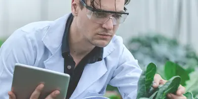 junger Mann untersucht Pflanze in einem Gewächshaus