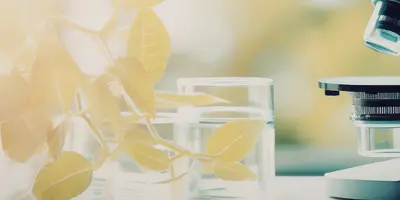 Mikroskop und Blätter