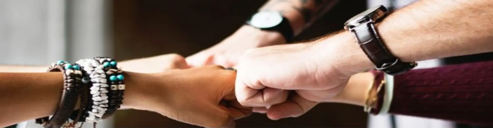 PVS Fashion-Service GmbH cover