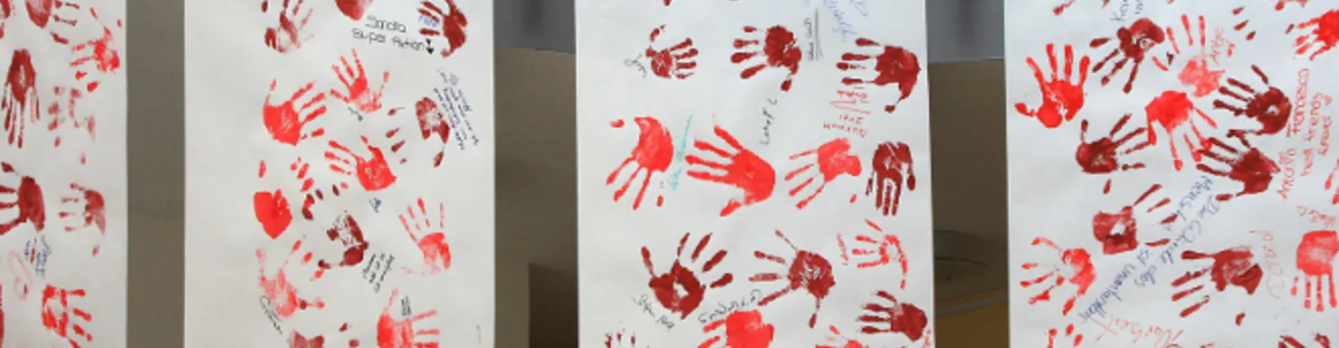 BRK Kreisverband Erlangen-Höchstadt cover