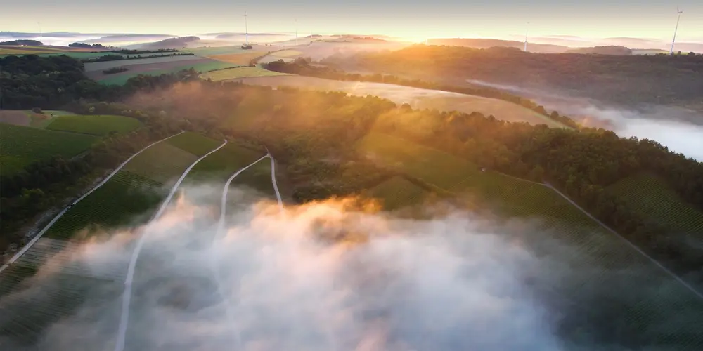 Winzergemeinschaft Franken eG (GWF)