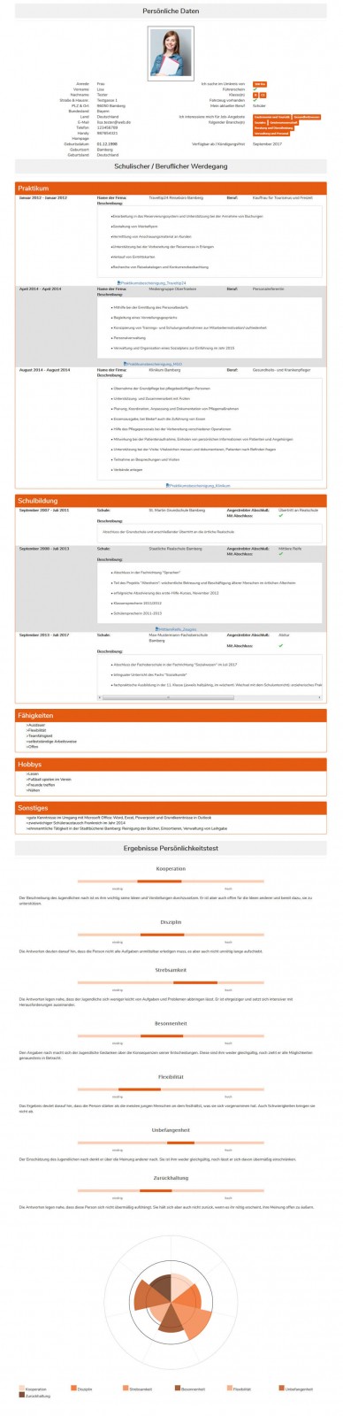 Beispiel Bewerbungsprofil Ausbildungsheld.de