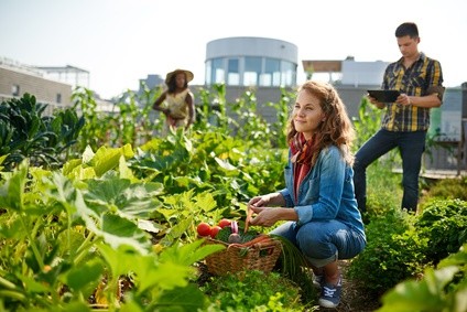 Ausbildung Landwirtschaft